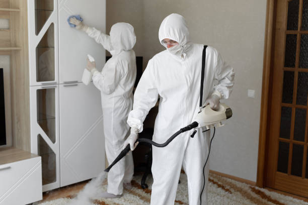 24/7 Emergency Odor Removal experts in Smithfield, NC
